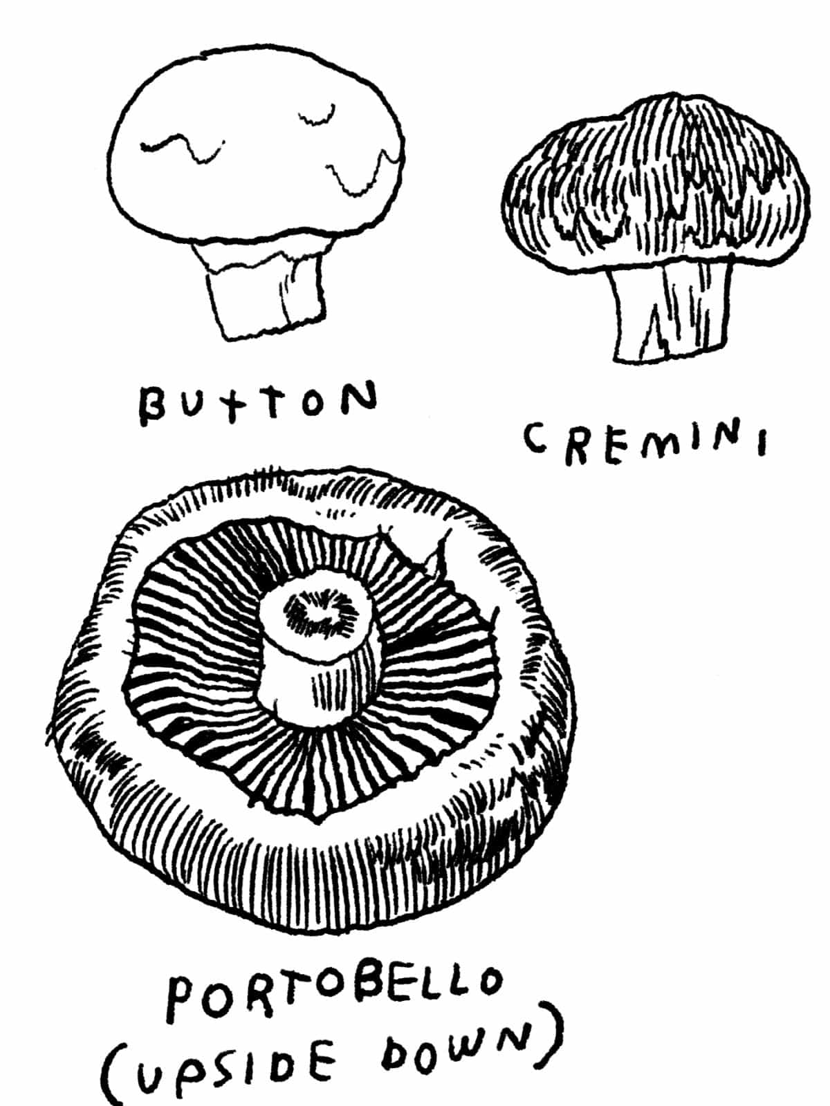 What's the Difference Between Cremini, Button, and Portobello Mushrooms?