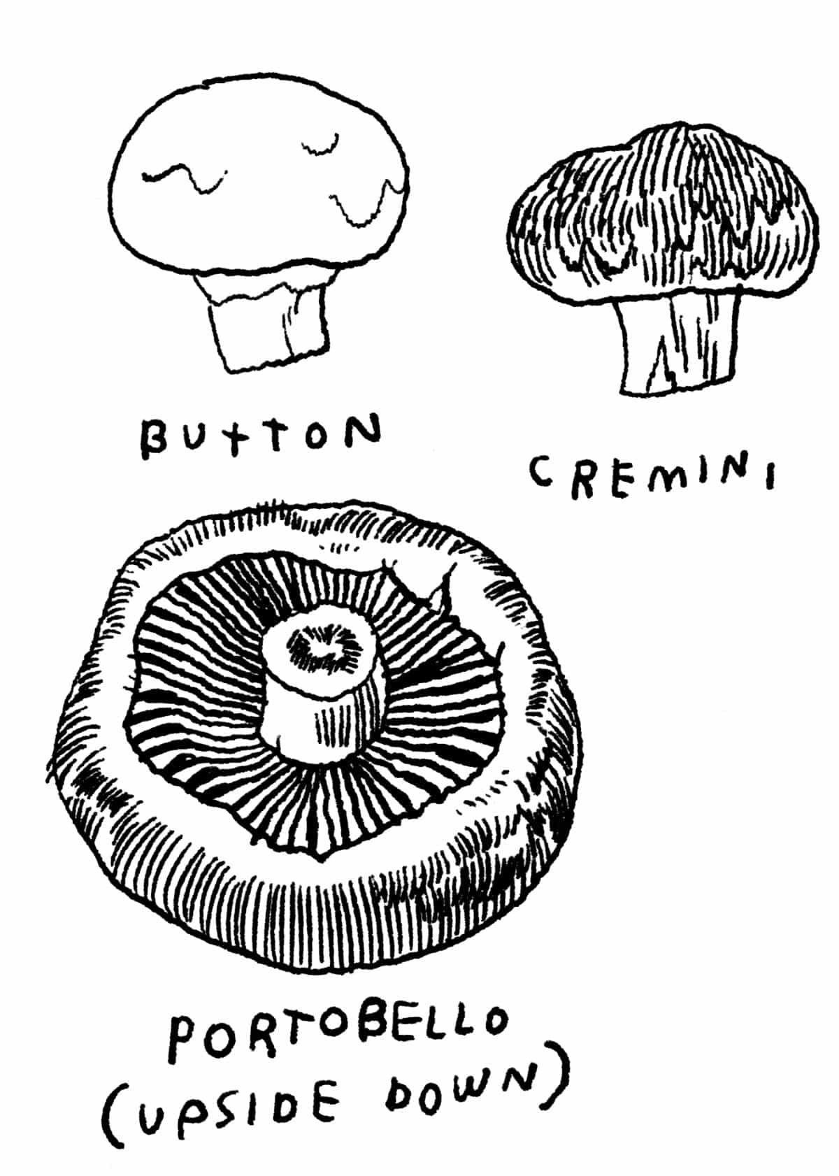 What's the Difference Between Cremini, Button, and Portobello Mushrooms