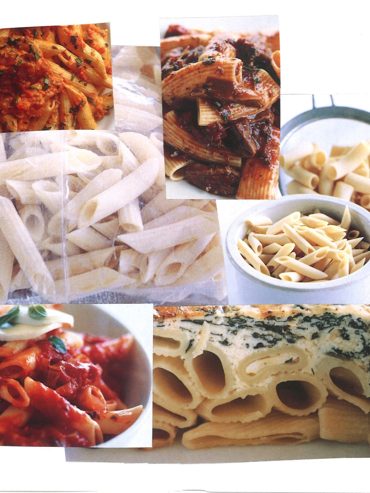 What's the Difference Between Penne, Ziti, and Rigatoni?_2