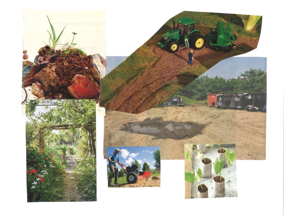 What's the Difference Between Soil and Dirt? What's the Difference?