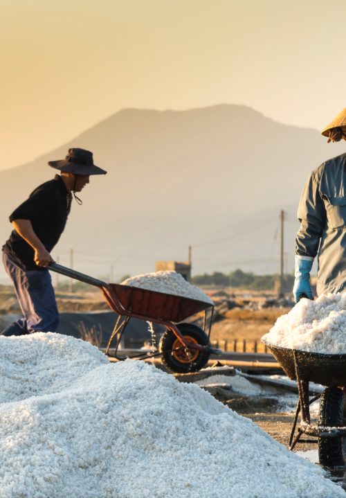 What's the Difference Between Sea Salt, Kosher Salt, and Table Salt?