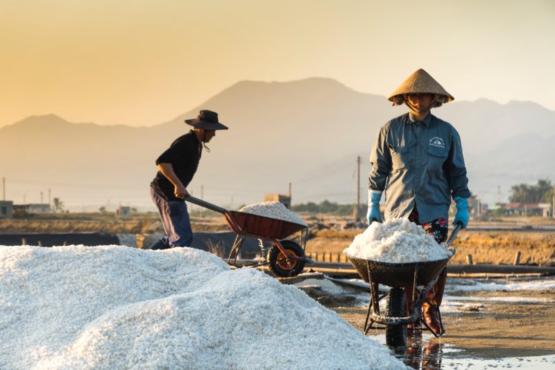 What's the Difference Between Sea Salt, Kosher Salt, and Table Salt?